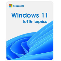 Операційна система Microsoft Windows 11 IoT Enterprise LTSC 2024 Perpetual, Commercial, OneTime (DG7GMGF0PP49_0001) Киев - изображение 1
