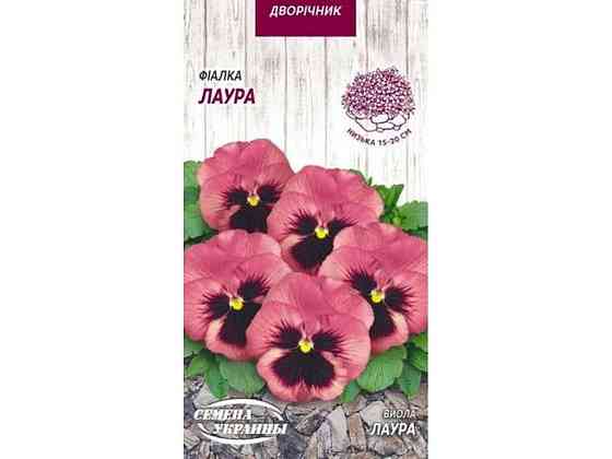 Фіалка ЛАУРА 0,05г (10 пачок) ТМ СЕМЕНА УКРАИНЫ   Solmir Київ