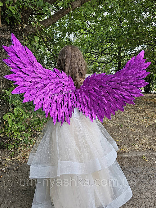 Фіолетові Крила великі Кривий Ріг - фото 5