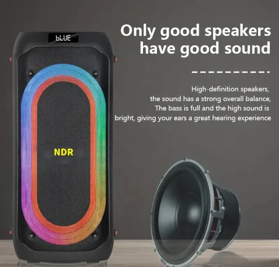 Портативна акустична колонка NDR-717 2x8" TWS/FM/USB/TF/BT/LED/REC з пультом та 2 мікрофонами Одеса