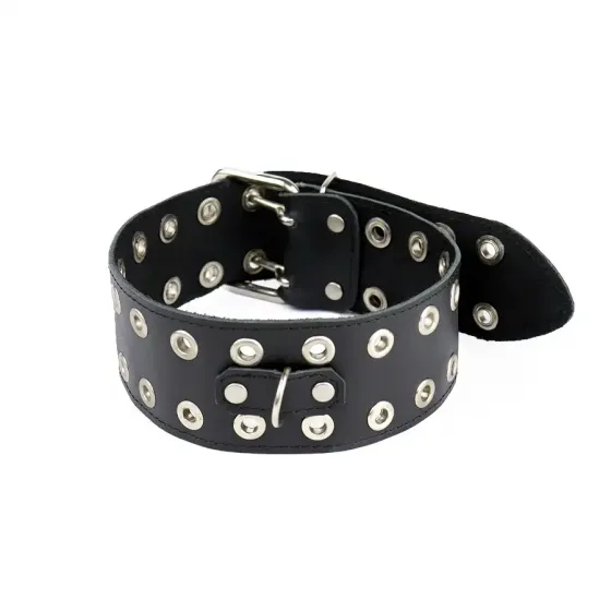 Нашийник Art of Sex - Tessa, натуральна шкіра, колір чорний Львів