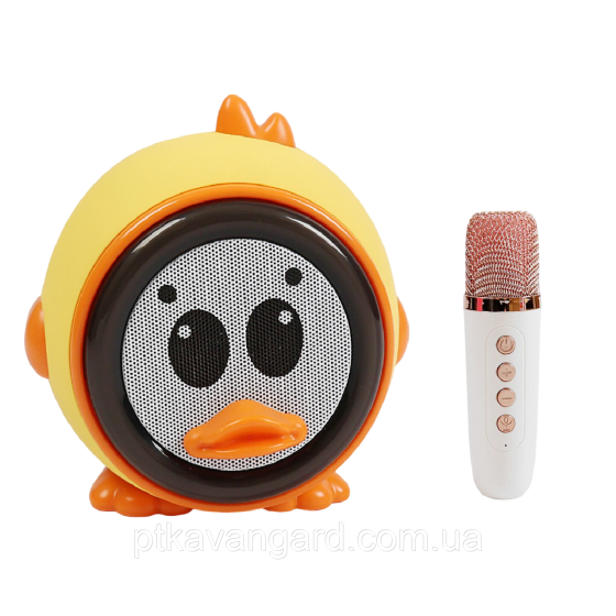 Детская караоке-колонка с микрофоном и блютуз 