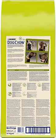 Сухий корм собак великих порід Dog Chow Adult Large Breed з індичкою, 14 кг Вінниця