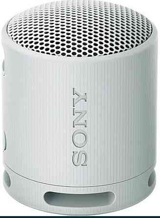 Портативная Колонка : SONY SRS-XB100 Grey ( SRSXB100HCE7) Київ