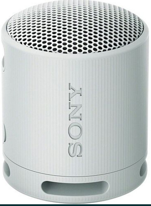 Портативная Колонка : SONY SRS-XB100 Grey ( SRSXB100HCE7) Київ - фото 1