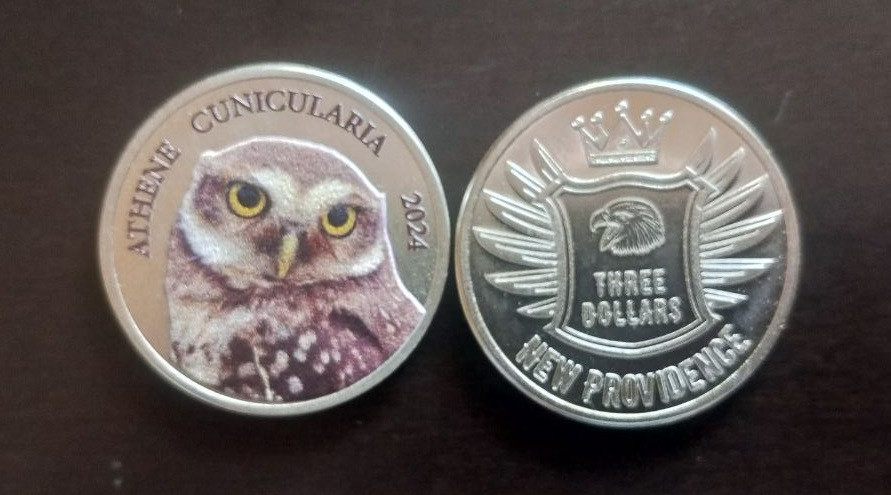 Нью Провіденс 3 доллара 2024 пташка ATHENE CUNICULARIA Полтава - фото 1