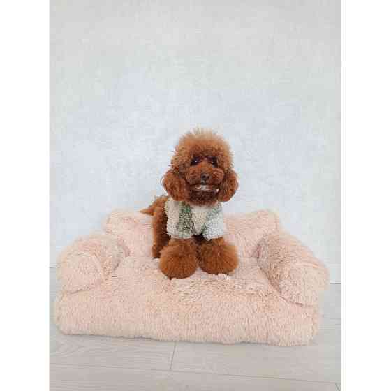 Хутряний диван лежак для собак і кішок спальне місце для тварин знімни Incor бежевий 10079 Київ