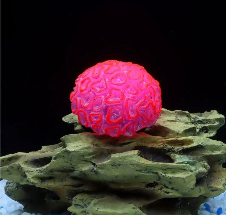 Декорация для аквариума - Коралл Красный Киев - изображение 1