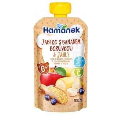 Дитяче пюре Hamanek із яблук, бананів, чорниці та пшона 100 г (1215916) Вінниця