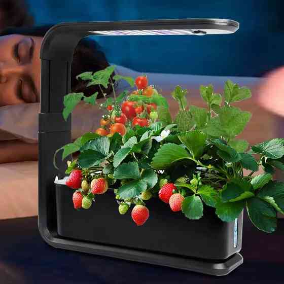 Гидропонная систем Smart с LED подсветкой для домашнего выращивания сада,мощность 15 Вт посадочных мест 3 Каменец-Подольский