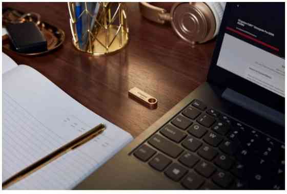 Flash Drive Kingston DT SE9 G3 256GB USB 3.2 Gold (DTSE9G3/256GB) (6962753) Киев