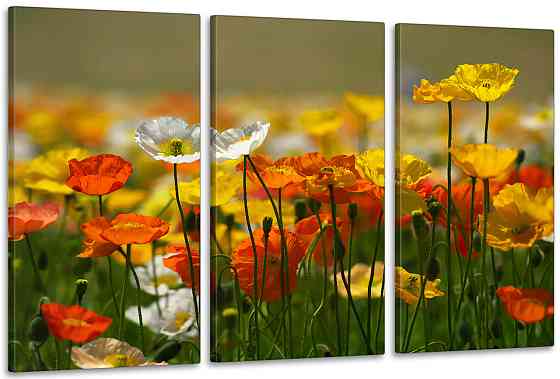 Модульна картина у вітальню/ спальню   Маки в полі     ART-017_3A 100х150 см Київ