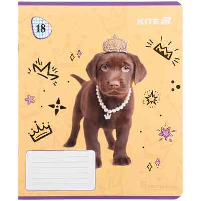 Зошит Kite Rachael Hale, 18 аркушів, клітинка (R25-236) Вінниця