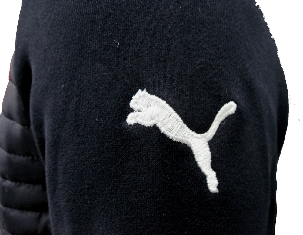 Зимний мужской спортивный костюм Puma BMW Motorsport Men's ,оригинал.р.S(44)/L(48). Киев - изображение 7