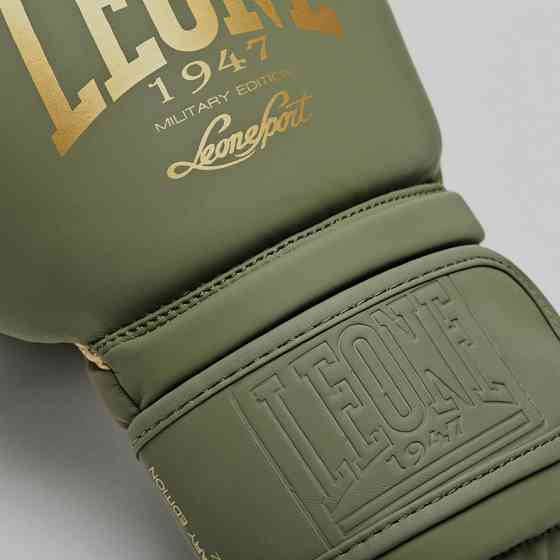 Боксерські рукавички Leone Mono Military 14 ун. Кам'янське