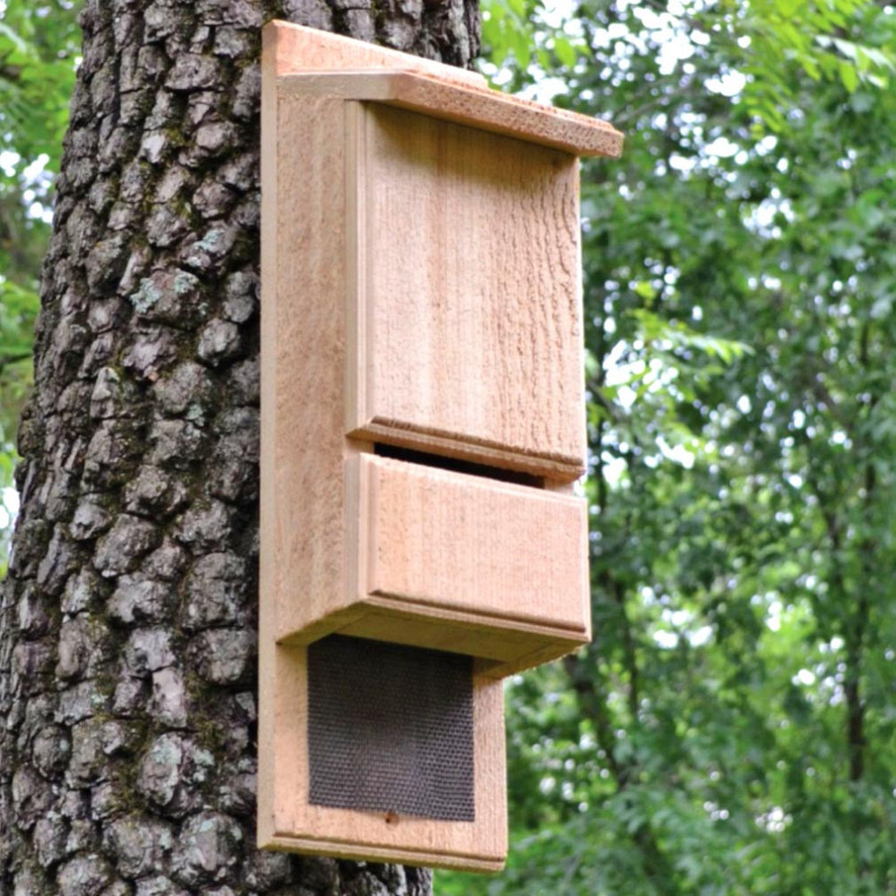 Будиночок для кажанів "Пігмей" бланже Миколаїв - фото 1