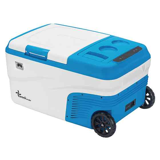 Холодильник компрессорный Weekender DS25 Киев