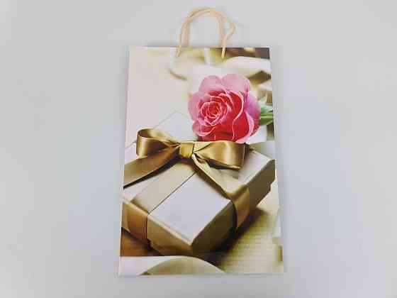 Большой бумажный пакет вертикальный  25/37/8(артBV-101) (12 шт) Харьков