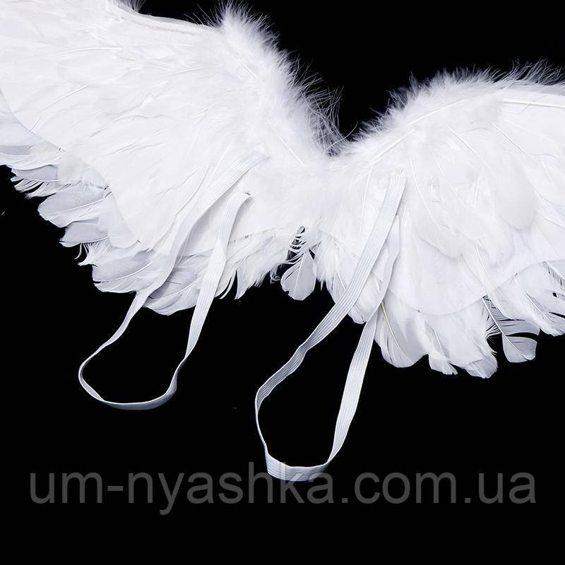 Крылья Ангела поднятые вверх 80*45 Кривой Рог - изображение 5