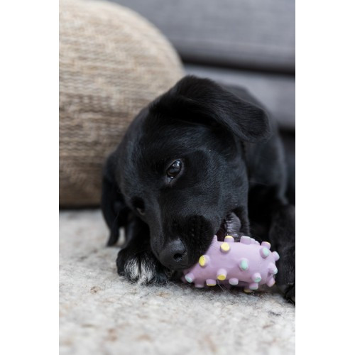 Іграшка Trixie для цуценят Кільце Junior латекс 8 см Київ - фото 10