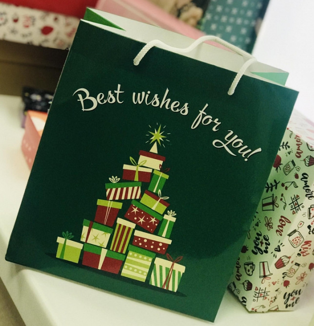 Подарочный пакет Новогодние Ёлки 24х21 см Винница - изображение 1