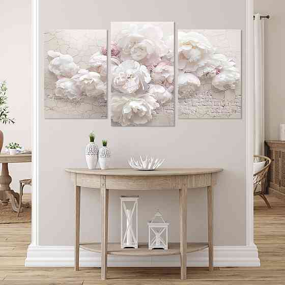 Модульна картина Кольори Ніжні Піони Art-520_3 (53х100sм) Київ