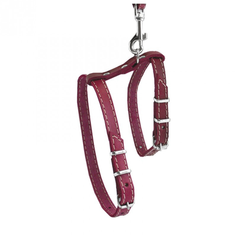 Шлейка 831 "КЛАСИК" для котів №2 Вінниця - фото 1