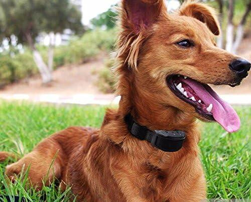 Ошейник для дрессировки собак с контролем лая Киев - изображение 2