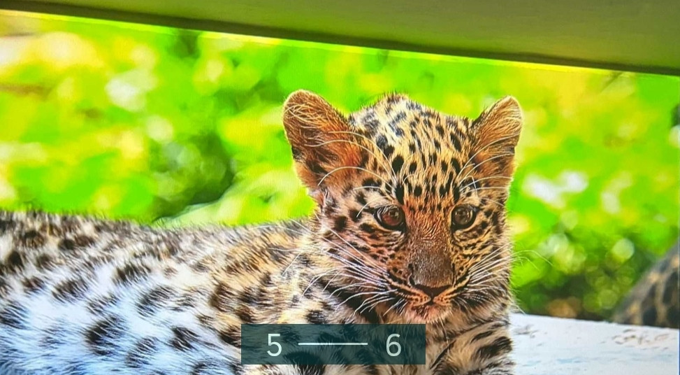 Проєктор Magcubic HY450/900ANSI/ Київ - фото 2