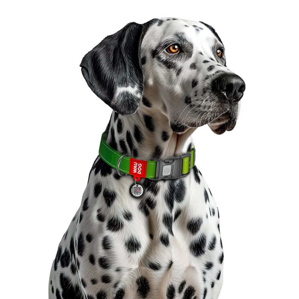 Coastal Fashion Waterproof Dog Collar КОСТАЛ биотановый ошейник для собак Киев - изображение 4