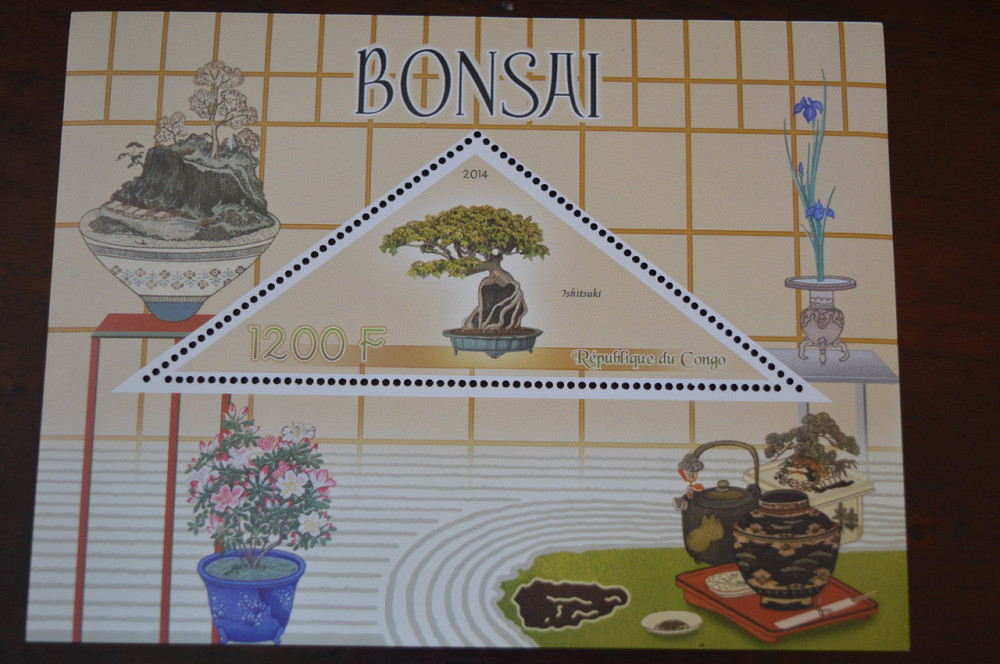 Конго. Фауна. Личности. Блок. 2014 р. (А-34) Полтава - фото 1