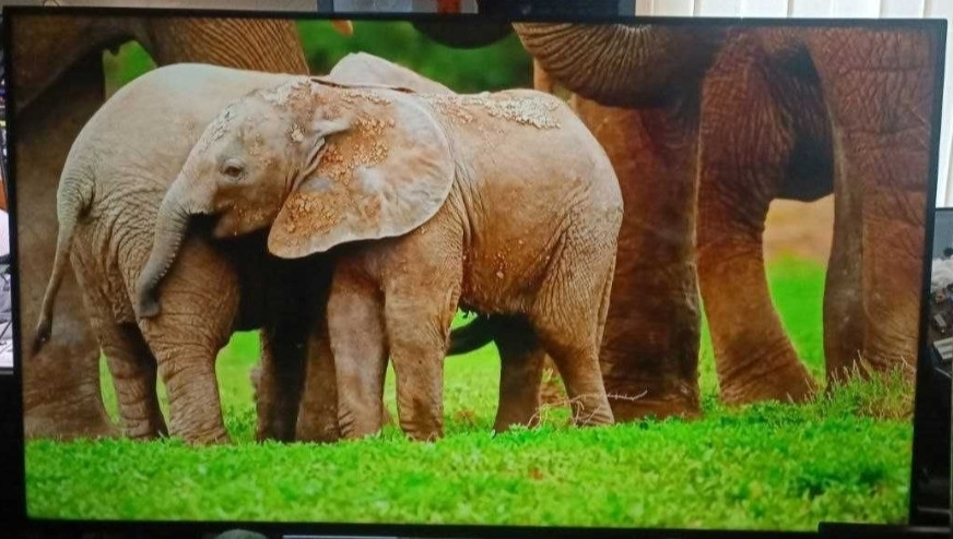 Телевизор: 58