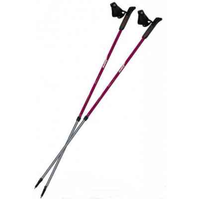 Палиці для скандинавської ходи Tramp Fitness пара (TRR-011) Вінниця