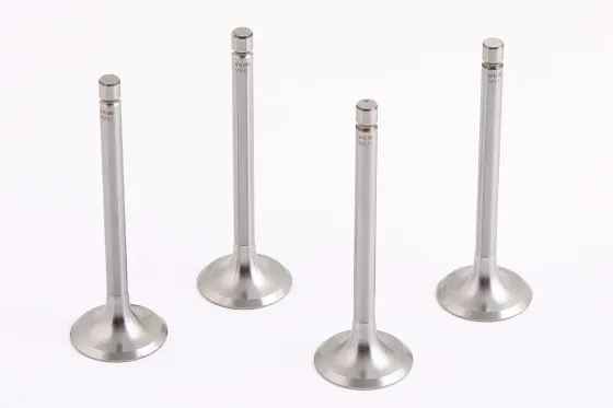 Клапана 2101 SM впускные (4 шт.) Винница