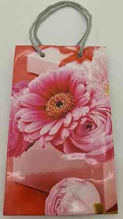 Пакет паперовий подарунковий малий 11/18/5 (арт М014) (12 шт.) Харків