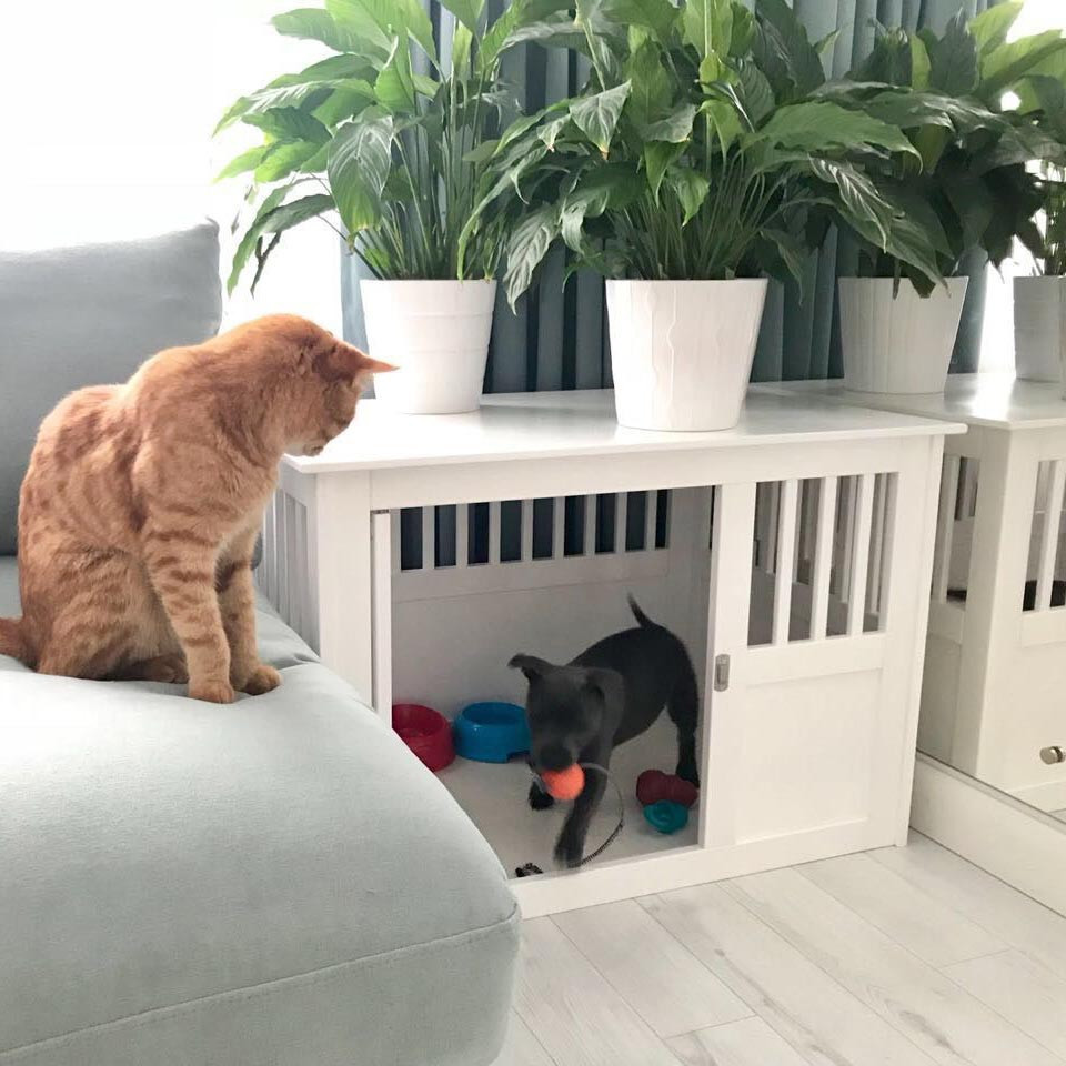 Будка для собаки "Піньйос" зефір Миколаїв - фото 1