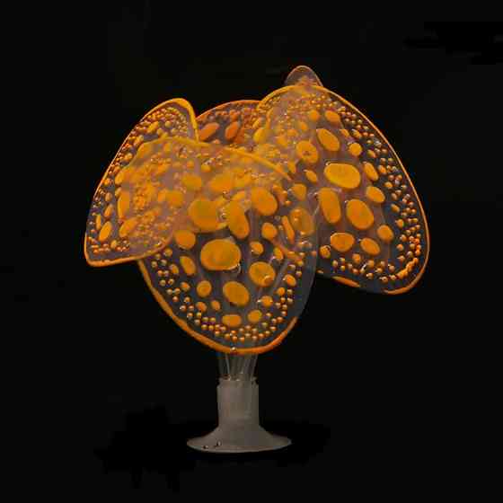 Декор в акваріум Гриби 10 см помаранчевий Київ