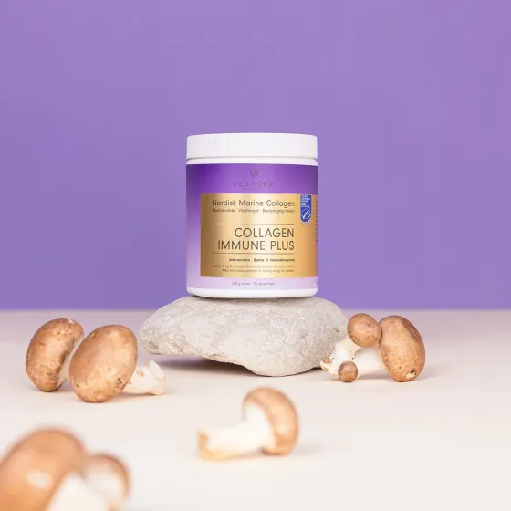 КОЛАГЕН КРАСА+ІМУНІТЕТ Collagen Immune Plus Vild Nord, 225 г Дніпро