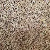 Насіння фенхелю (Семена фенхеля)100г master sem Киев - изображение 1