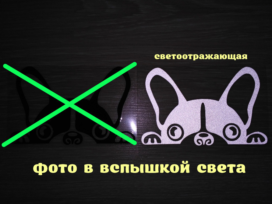 Наклейка на авто Собака Біла світловідбивна Київ - фото 2
