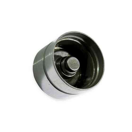 Гідрокомпенсатор двигун -ina (к-т 16шт) тонк.ніж. d-8мм 406 Мукачево