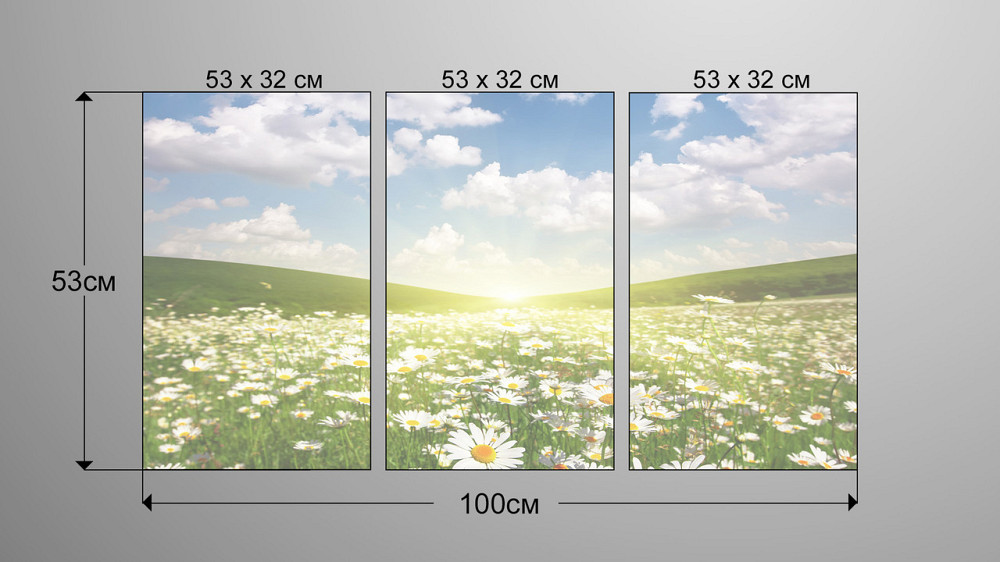Модульна картина Полі Ромашки Аrt-170_3А Київ - фото 3