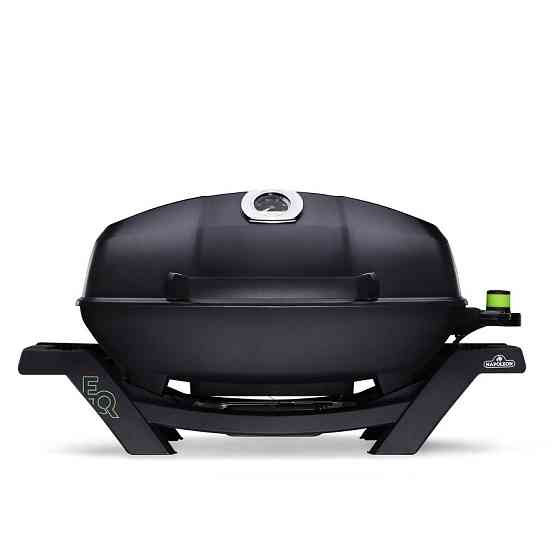 Електричний гриль TravelQ PRO285E Napoleon PRO285E-BK-BK-CE Код: 005746 Ровно