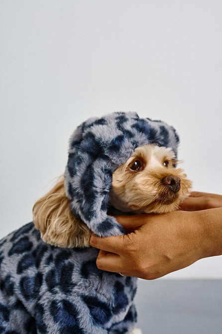 Шапка ушанка для собак меховая зимняя Dogs Bomba теплые ушки 1 Голубой Одесса - изображение 6