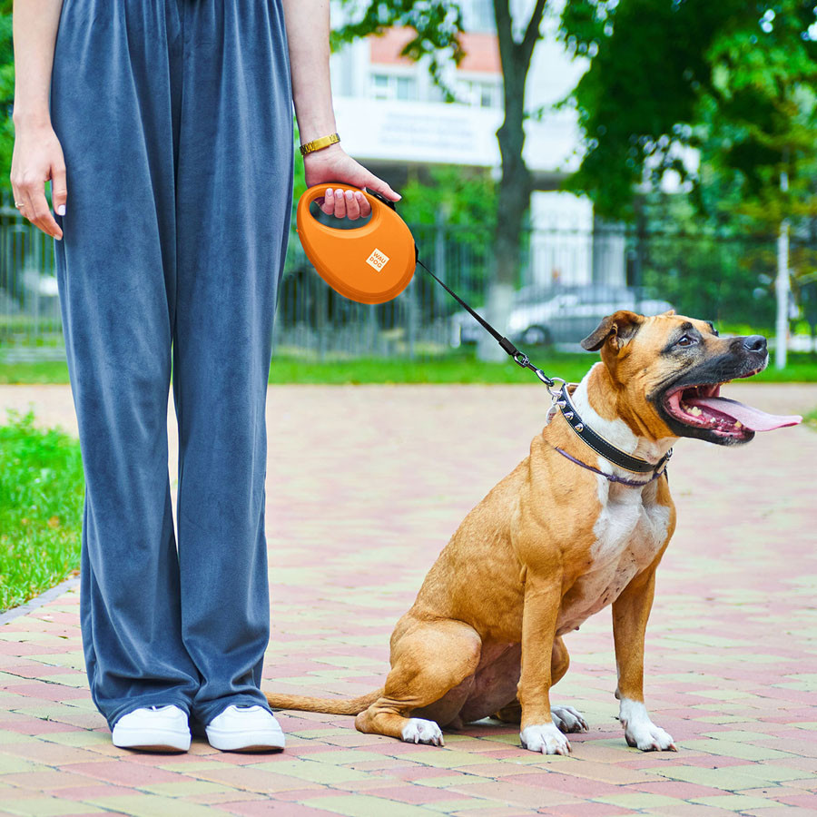 Поводок-рулетка для собак WAUDOG R-leash с контейнером для пакетов, светоотражающая лента, L, до 40 кг, 5 м, оранжевый Киев - изображение 8