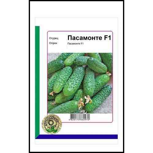 Насіння огірка Пасамонте F1 10 сем., Syngenta, Голандія Вінниця