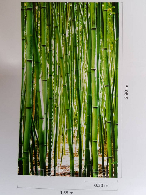 Обои виниловые Grandeco One roll one motif 2 A36901 панно мурал 3д бамбуковый лес зеленый салатовый Киев - изображение 2