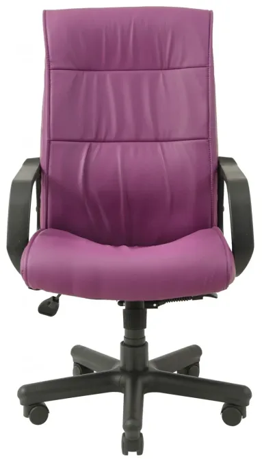 Офісне Крісло Керівника Richman Rio Fly 2216 Пластік М3 MultiBlock Бузковий Київ - фото 2