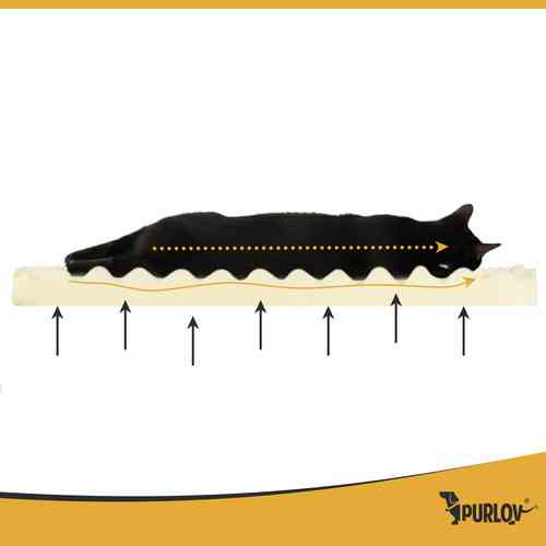 Ортопедичне ліжко м'яке для тварин 65х55 см Purlov (26914) Нововолинськ