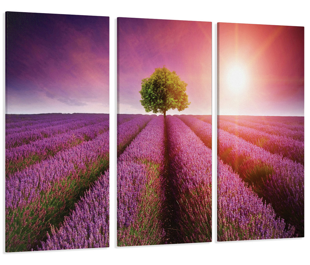 Модульна картина Природа Дерево Art-48_XXL 100х53 см Київ - фото 1